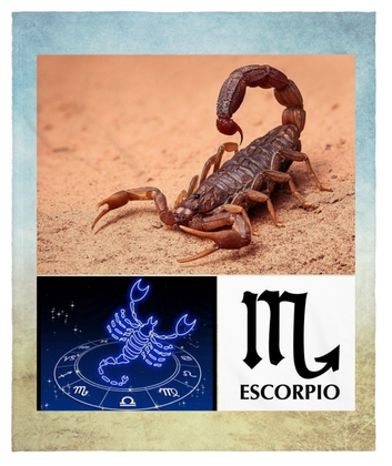Horoscopo Escorpio 2016 - amor, salud y trabajo